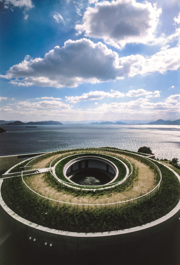 Concrete and waterlilies | Naoshima Island