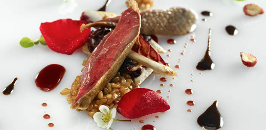 Pigeon with rose petals